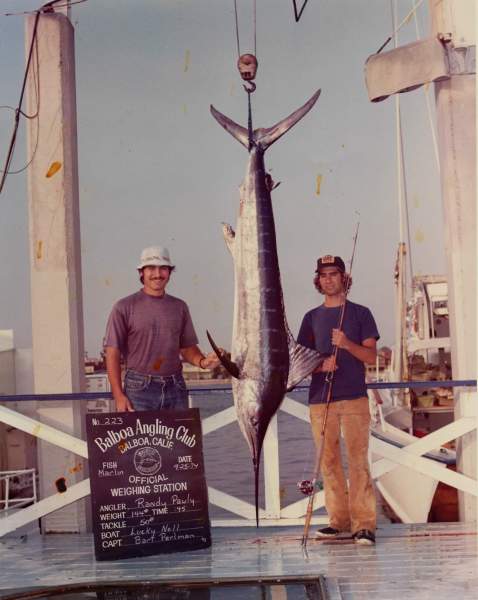 Penn 500 Catches this!!! 144 lbs. Striped Marlin 9/25/1974