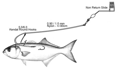 HOW DO YOU HOOK LIVE BAIT (WHERE ON THE FISH) - Page 2