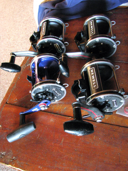 How Much is Your Newell Reel Worth? 8 Used Newells on the Auction Block! 