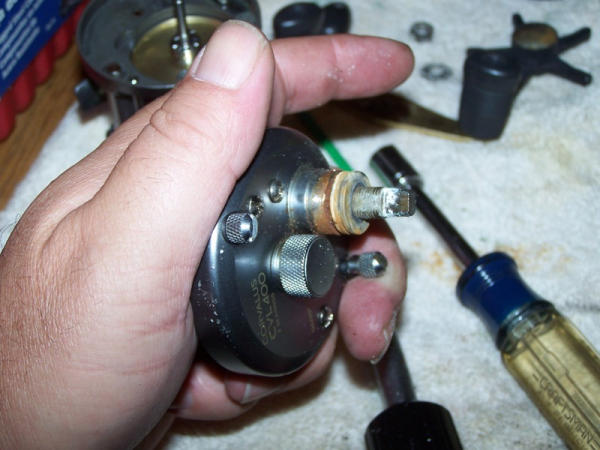 anti reverse bearing lubrication